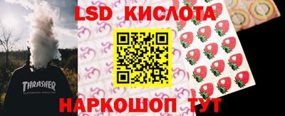 спайс Кингисепп