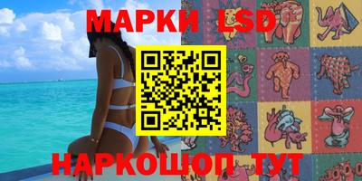 стаф Кандалакша