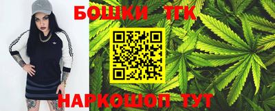 спайс Кингисепп