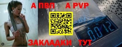 спайс Кингисепп