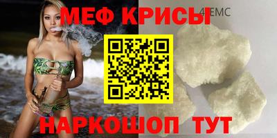 спайс Кингисепп