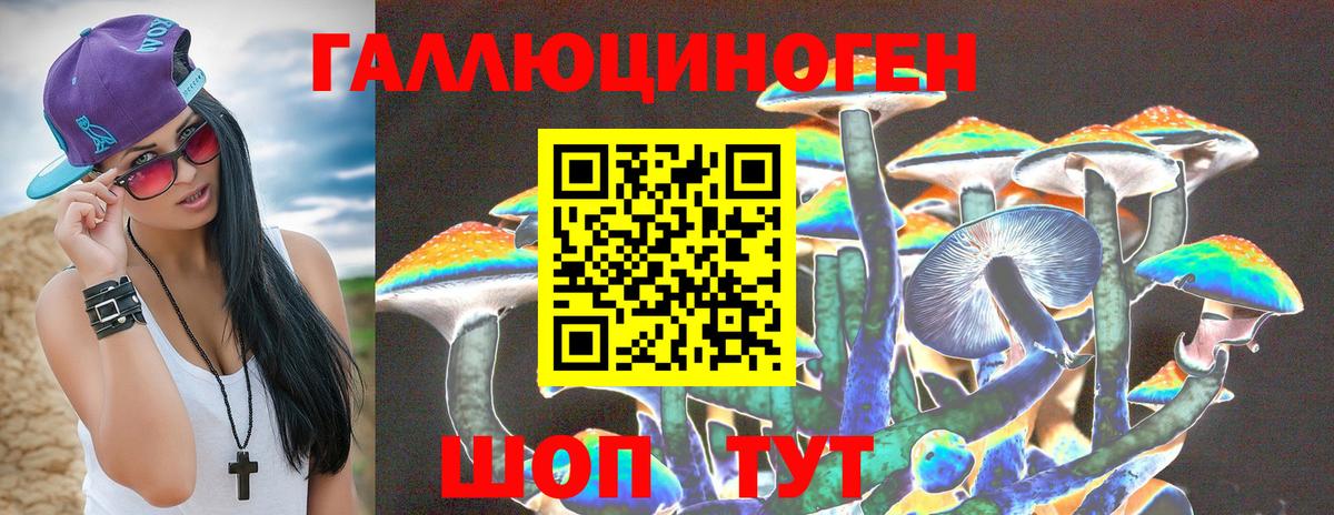 Курчатов  Галлюциногенные грибы Cubensis  Галлюциногенные грибы Magic Shrooms  Вход с VPN 